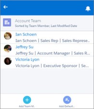 rn_salesforce1_account_team_cut